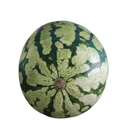 watermelon isolated on white background