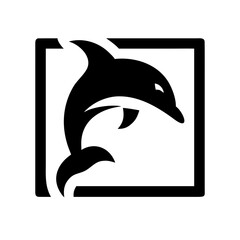 Dolphin jumping out of a square frame image