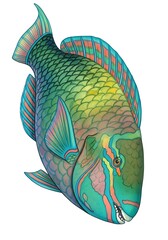 Vibrant Parrotfish Illustration - A Colorful Underwater World Depiction.