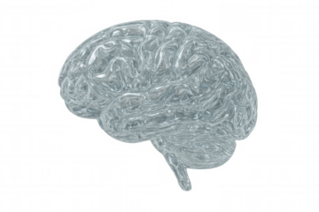 Glass human brain representing artificial intelligence, scientific research, and advanced neurological thinking