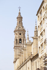 Fototapeta premium Co-Cathedral of Saint Maria de la Redonda in Logrono, Spain