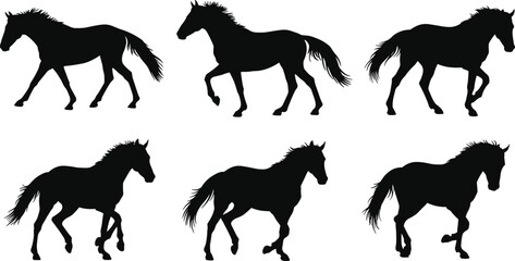 Horse silhouettes walking trotting poses, black equine vector illustration, animal gait study, horse movement design, equestrian clipart, wild mustang art