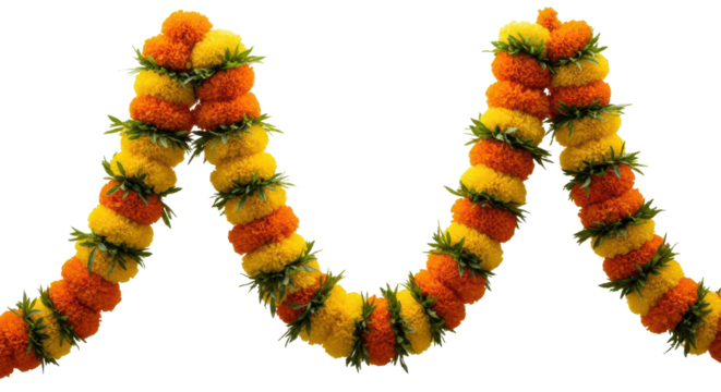 Festive Marigold Flower Garland in Yellow and Orange with Green Leaves isolated on transparent background