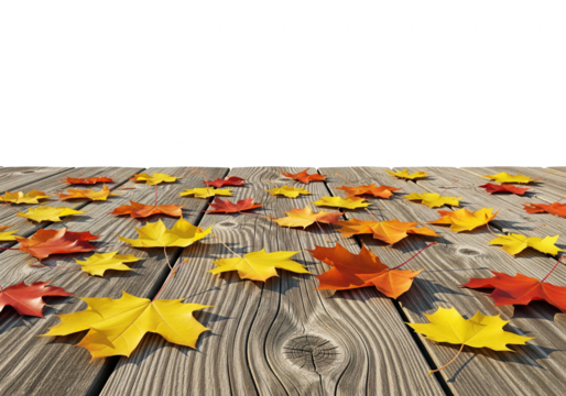 Autumn maple leaves scattered on wooden surface with transparent background