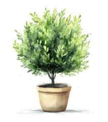 Watercolor green bush clipart, white background, simple design, cute style, watercolor, simple line art, isolated on clean white background