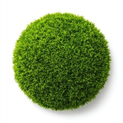 Circular green grass sphere on white