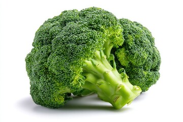Fresh broccoli head, vibrant green, isolated