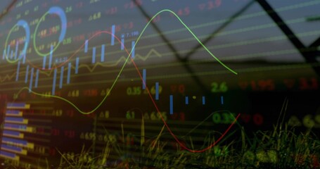 Stock chart overlaying greenhouse plants, showing blue bars, multicolor lines, tickers