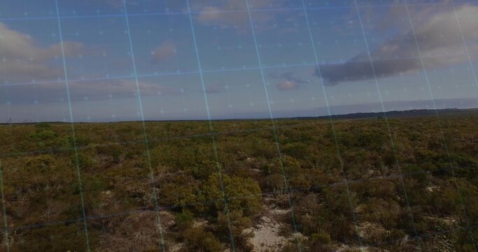 Fototapeta Showcasing scrubland stretching across flat ground, with low shrubs, small bushes and soil patches