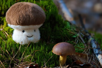 zwei Pilze auf dem Moos - Pl&uuml;schpilz