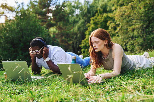 Students working with laptops outdoors on green grass - Powered by Adobe