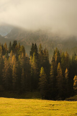 Mountain landscape veiled in a misty fog, with clouds drifting across the sky. A ray of the first morning sun breaks through the clouds.