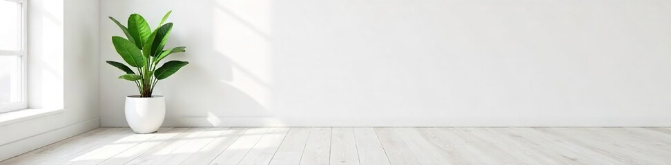 Obraz premium Serene Minimalist Living Room Bright, Calm Interior with Potted Plant and Bleached Wood Floor