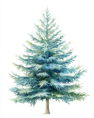Obraz premium Watercolor pastel blue and green pine tree clipart, isolated on a white background with clean edges.