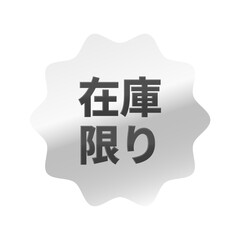光沢のあるアイコン_在庫限り_なめらかなジグザグ型_SILVER