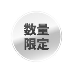 光沢のあるアイコン_数量限定_線囲み丸型_SILVER
