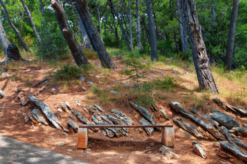 a wooden bench in beautiful city park with green trees and stones