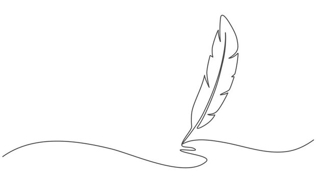 birds feather continuous one line drawing animation, Continuous Line Drawing of Feather Icon. Hand Drawn Symbol Vector Illustration, Hand drawn quill, Self-drawing of continuous drawing of one line