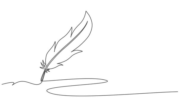 birds feather continuous one line drawing animation, Continuous Line Drawing of Feather Icon. Hand Drawn Symbol Vector Illustration, Hand drawn quill, Self-drawing of continuous drawing of one line