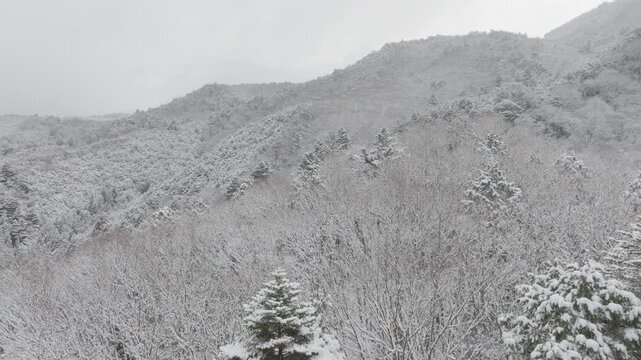 Slow Motion Winter Landscape Aerial of Mount Hiei Forested Peaks in Kyoto Japan