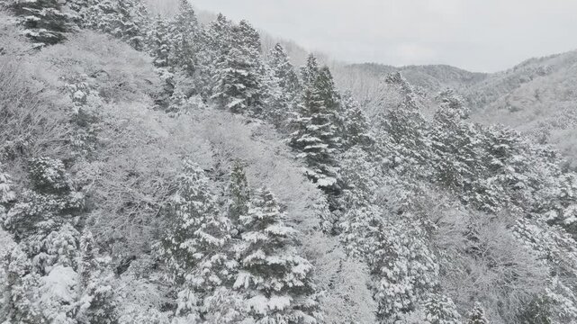 Aerial reveals winter neighborhood covered in Snow in Kyoto Japan after Forested Mountain