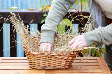 Florist at work: woman shows how to make seasonal autumn table decoration with pumpkins, flowers and plants in a wicker basket.