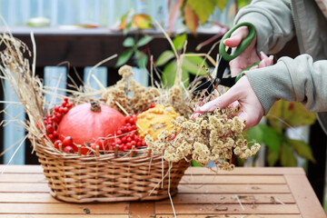 Florist at work: woman shows how to make seasonal autumn table decoration with pumpkins, flowers and plants in a wicker basket.