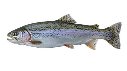 Festive Santa hats collection for joyful holiday celebrations and winter events