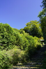 萩の花咲く坂道　