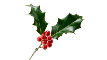 Joyful Santa Claus characters celebrating Christmas with gifts and festive cheer