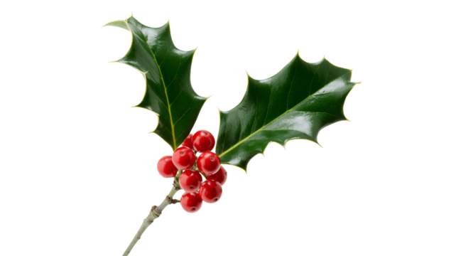 Joyful Santa Claus characters celebrating Christmas with gifts and festive cheer