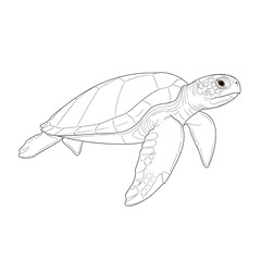 Fototapeta premium A sea turtle isolated on white background, gracefully swimming, showcasing its shell and flippers, embodying marine life, and symbolizing longevity and resilience