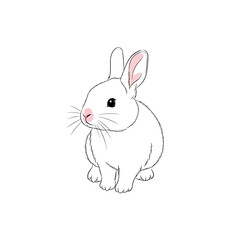 Illustration of a white rabbit isolated on white background, perfect for easter, spring, or animalrelated designs and educational resources a cute and charming image