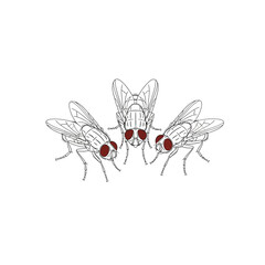 A minimalist illustration featuring a trio of flies with striking red eyes, isolated on white background, creating a visually intriguing and slightly unsettling composition