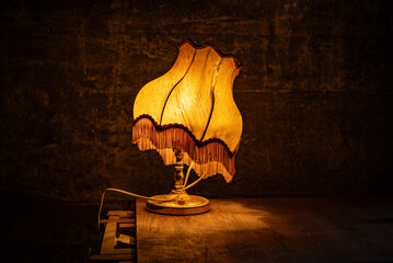 light bulb in vintage lampshade