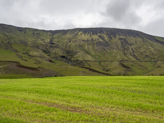 Fototapeta premium mountains and landscape in Iceland