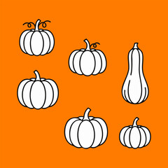 Colorful Pumpkin Vector Illustration for Autumn, Thanksgiving, and Halloween Design. Perfect Fall Harvest Element with Orange Pumpkins and Leaves for Seasonal Decoration and Celebration.