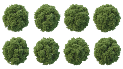 Eight top-down views of lush, green trees for landscape design projects
