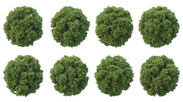 Eight top-down views of lush, green trees for landscape design projects