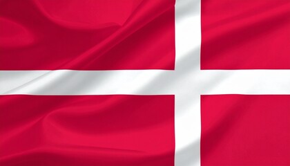 Denmark flag minimal vector