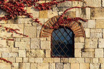Vibrant red ivy vines surrounding an arched medieval window with metal grid on a rustic stone wall, autumn atmosphere.