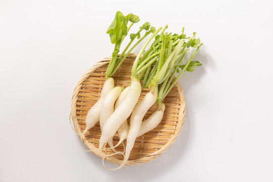 二十日大根（ミニ大根　白大根）