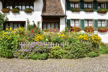 Traditional Homes with Flowers in the Countryside near Zurich, Switzerland