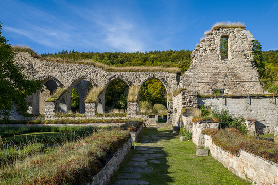 Ruins of Alvastra Abbey during autumn. This Cistercian monastery was founded in 1143 at Alvastra in county &Ouml;sterg&ouml;tland, Sweden