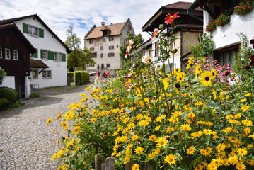 Traditional Homes with Flowers in the Countryside near Zurich, Switzerland