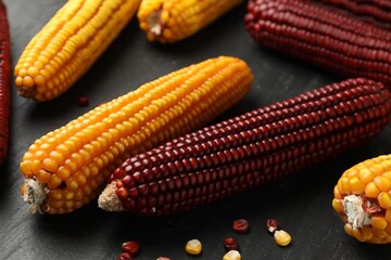 Red and yellow corn cobs on dark textured table, closeup