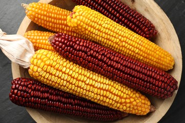 Red and yellow corn cobs in bowl on table, top view