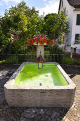 Traditional Fountain and House with Garden in the Countryside near Zurich, Switzerland