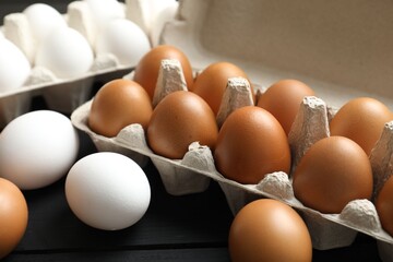 Many raw chicken eggs in cartons on black wooden table, closeup