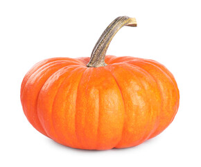 Obraz premium One whole ripe pumpkin isolated on white